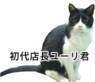 イラスト